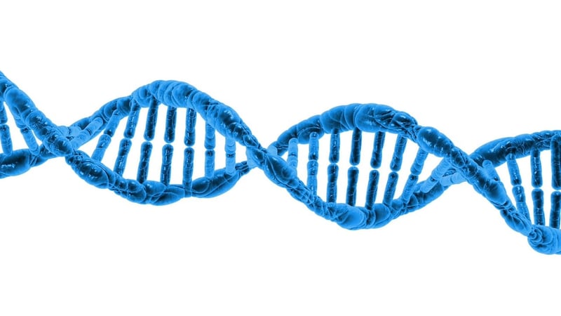 Biotechnology Evolution